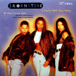 Brownstone - I Can't Tell You Why (R&B Radio Remix)